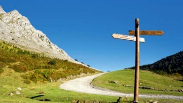 Teaser Infomaterialien